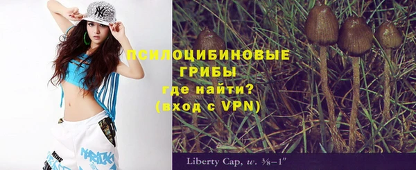 прущая мука Корсаков