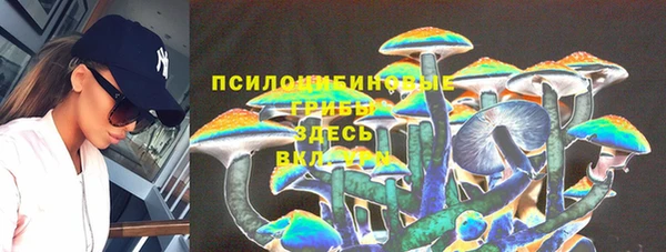 прущая мука Корсаков