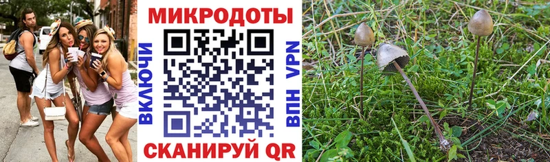 Псилоцибиновые грибы мицелий Купить закладки Истра