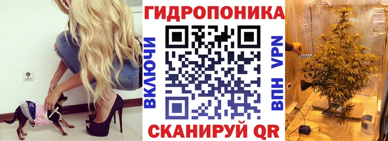 Купить  Истра  Канабис конопля 